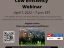 Cow Efficiency Webinar — April 7, 2022, 7 p.m. EST; black cows pictured and registration link