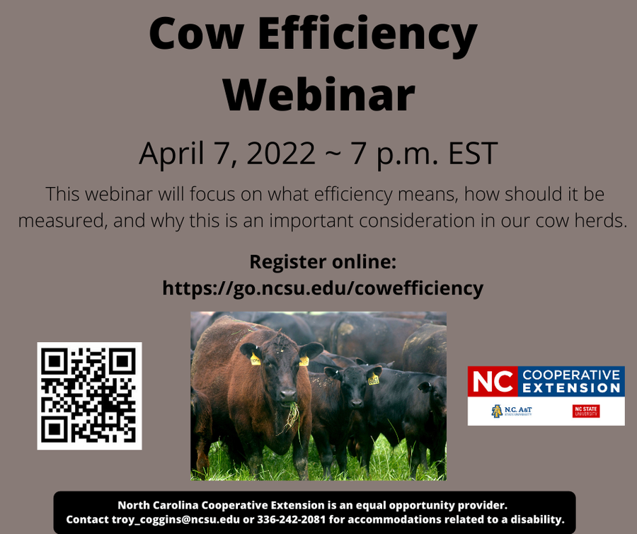 Cow Efficiency Webinar — April 7, 2022, 7 p.m. EST; black cows pictured and registration link