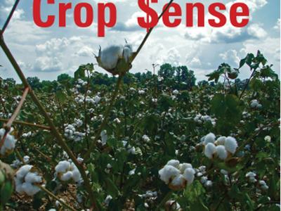 Cotton field with text "Crop $ense" and "NC Cooperative Extension" logo