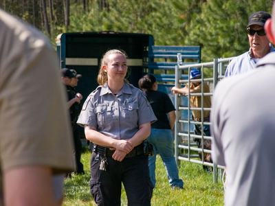Uniformed officer standing with hands clasped near a livestock trailer and metal gate