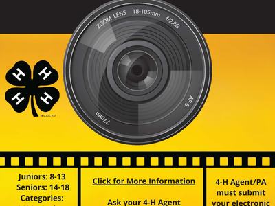 4-H Photography Contest
