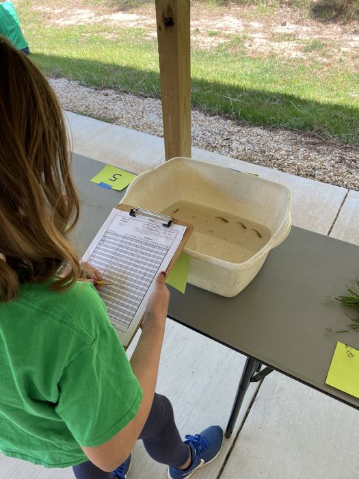 Holding a clipboard, a 4-H youth looks into a container on a table that contains water and some fish