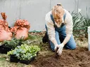 Gardening, Gardening Questions, How to Garden, North Carolina Gardens, Gardening in the Home,