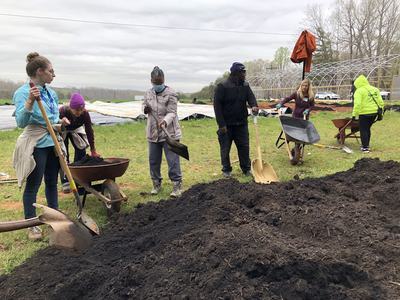 Volunteers shoveling dark compost into wheelbarrows in a field near greenhouse frames