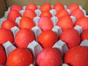 North Carolina eggs going to the White House for Easter