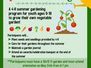Join us for Mini Gardening — 4-H program ages 9–18; $20 fee; orientation May 24; register by May 13