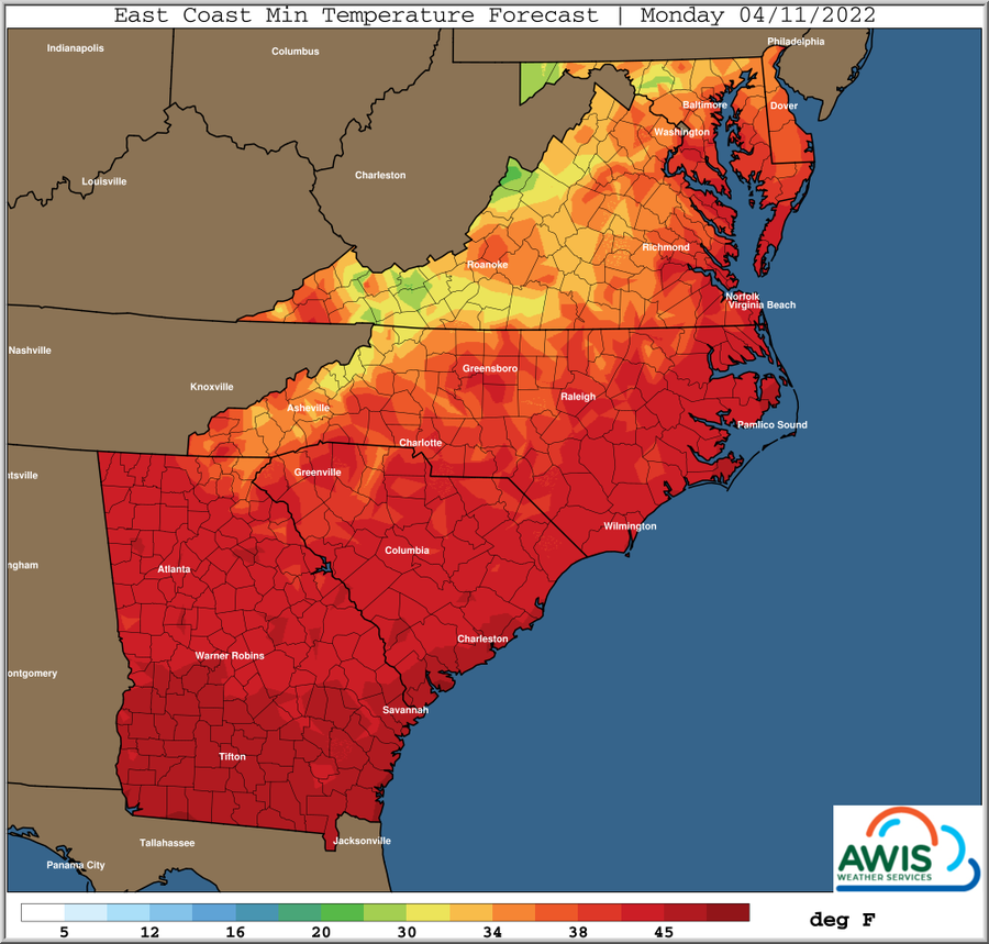 East Coast minimum temperature forecast map — Monday 04/11/2022; color scale in °F