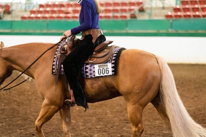 Rider in purple shirt on palomino horse with saddle, competition number 006