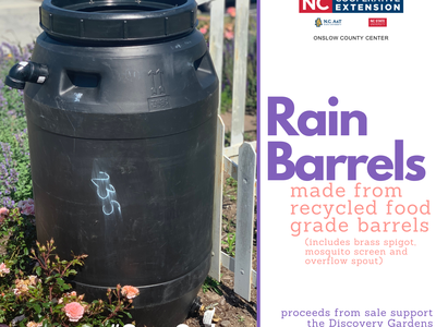 Rain Barrel