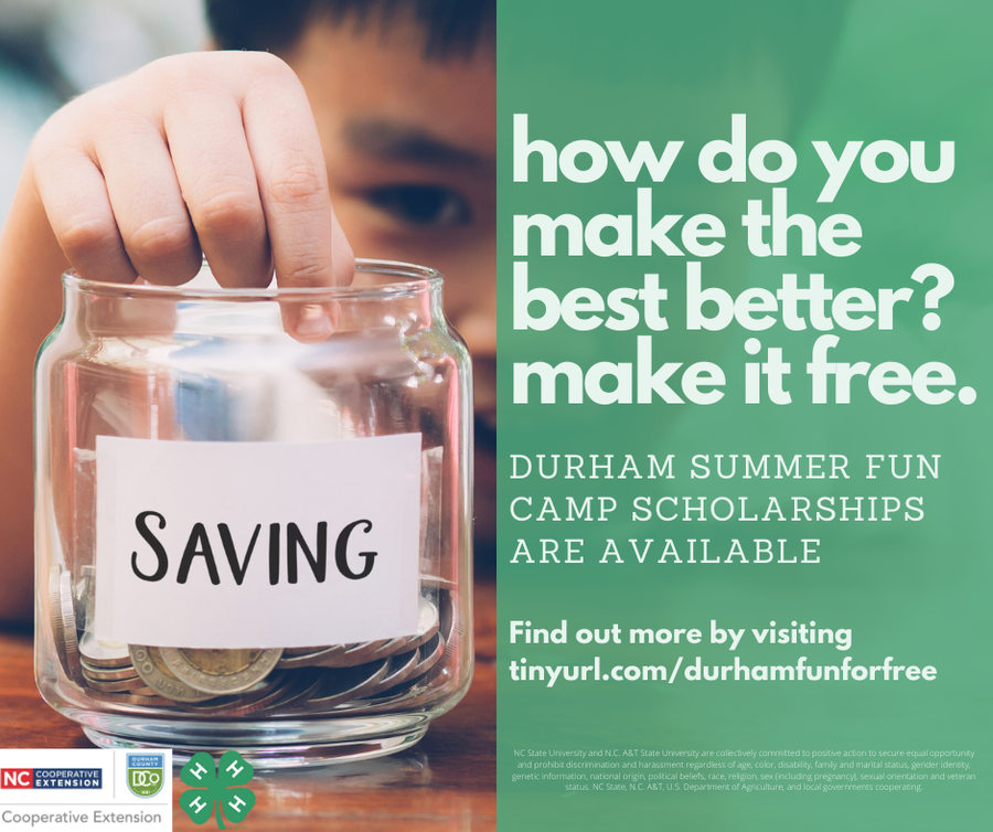 4-H Scholarships are available