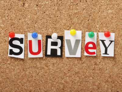 Survey Logo