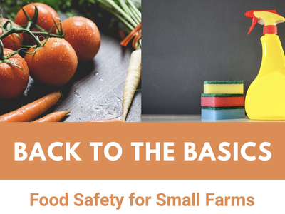 Food Safety flyer image with program title