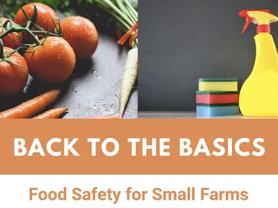 Food Safety flyer image with program title