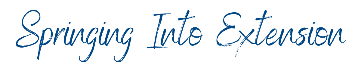 Springing Into Extension