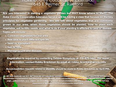 Starting Your Vegetable Garden flyer