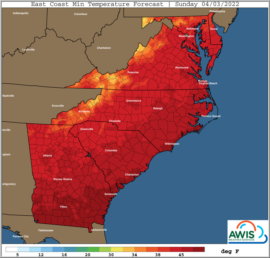 East Coast minimum temperature forecast map, Sunday 04/03/2022, temperatures in °F