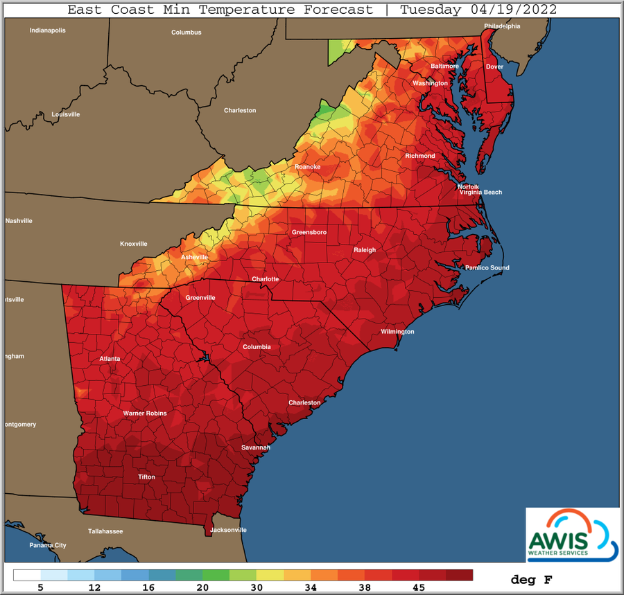 East Coast min temperature forecast map, Tuesday 04/19/2022; color scale shown in deg F.