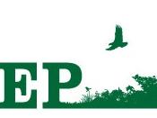 Green WHEP logo with the letters WHEP on the left transitioning into the outline of a habitat with grasses, trees, and a deer.