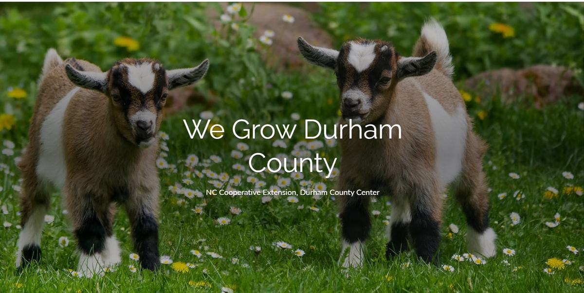 Two kid goats standing in grassy field with daisies; overlaid text "We Grow Durham County"