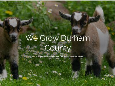 Two kid goats standing in grassy field with daisies; overlaid text "We Grow Durham County"