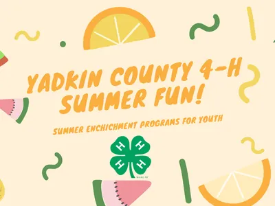 Yadkin County Summer Fun