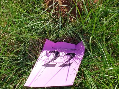 fire ant mound