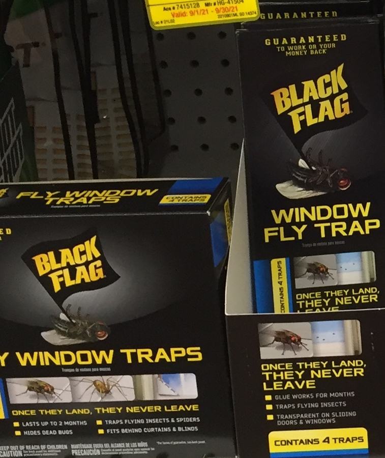 fly traps