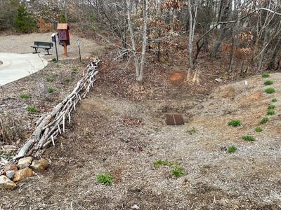 Dry landscaped drainage swale with metal grate, log border, small red book box and bench