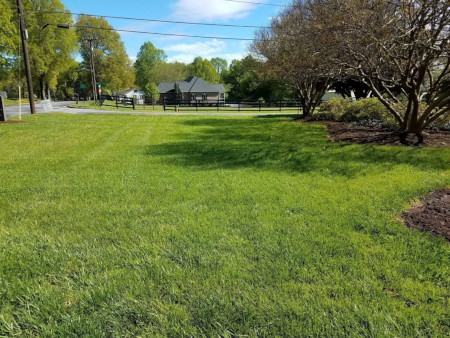 turf