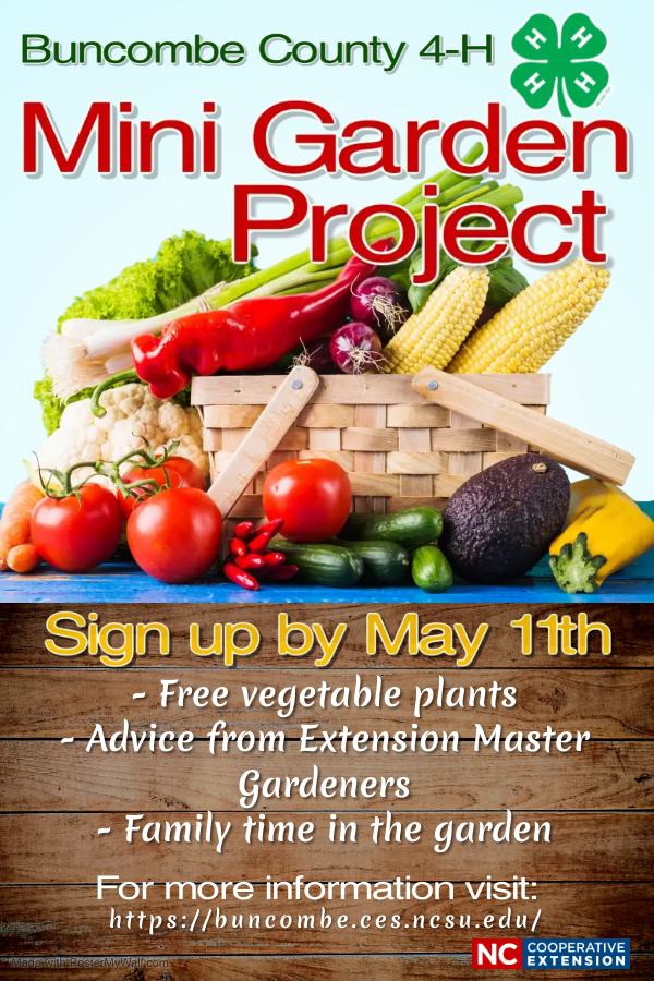 4-H Mini Garden Project 2022