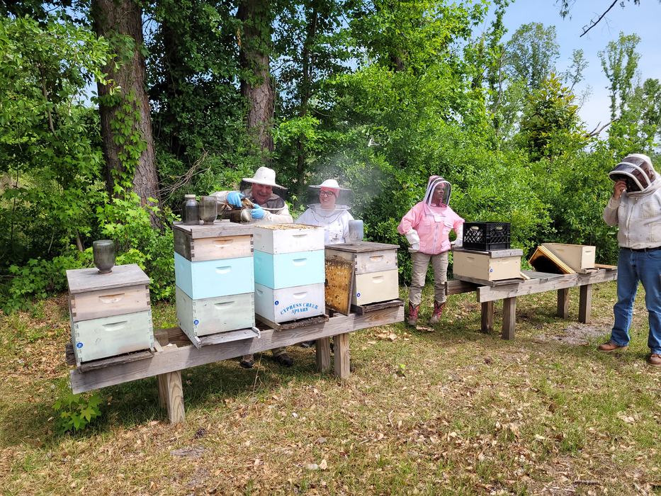 A group of beekeepers apply smoke to a beehive.