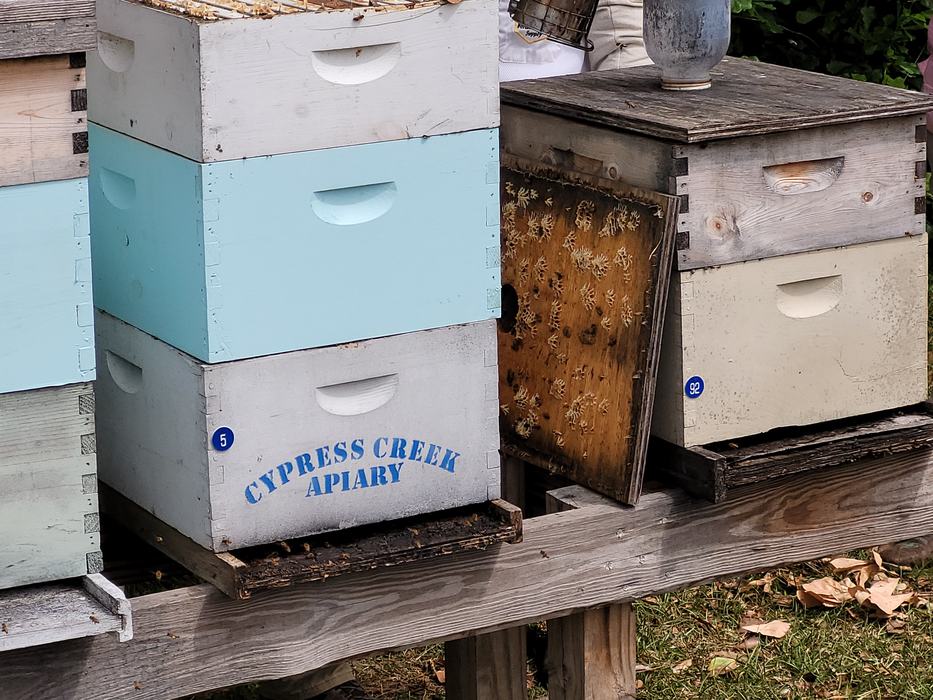 A wax covered rack leans against beehives sitting on a raised platform.