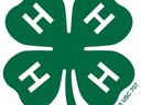Green four-leaf clover with white H in each leaf and small text 18 USC 707 on stem