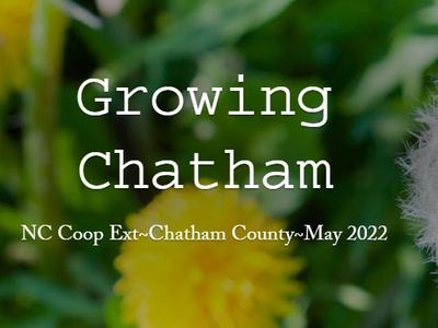 Title "Growing Chatham" over blurred dandelions; text: NC Coop Ext~Chatham County~May 2022