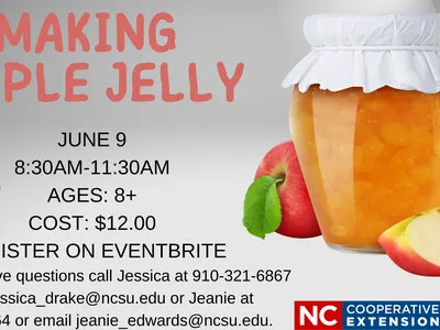 Making Apple Jelly class flyer — June 9, 8:30AM–11:30AM, Ages 8+, Cost $12, register on Eventbrite