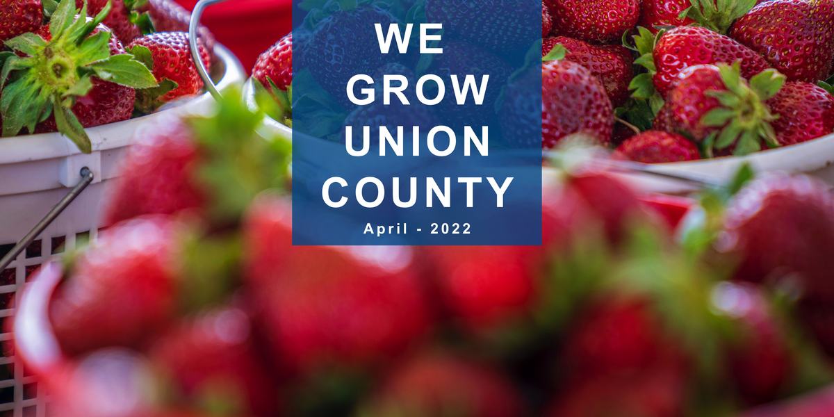 We Grow Union County 