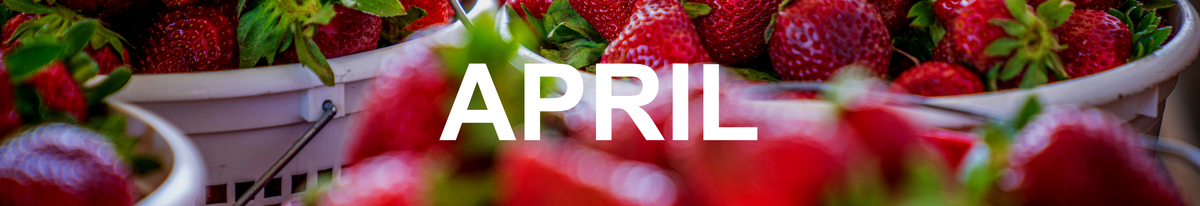 We Grow Union County - April 2022