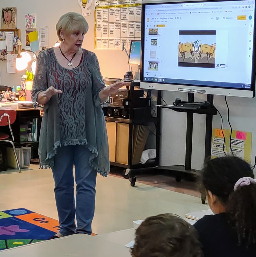 A woman teaches in front of a classroom of children.