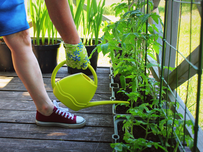 Growing in a Container, How to Garden in a Container, We Grow Union County, North Carolina