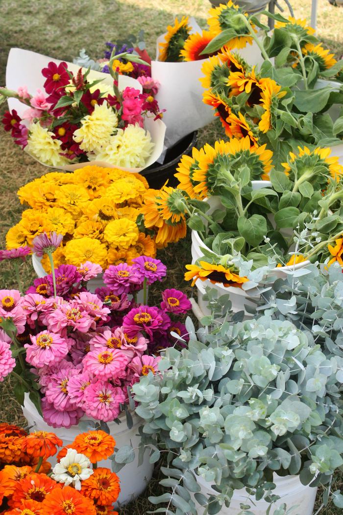 Flowers in hues of orange, pink, yellow and green sit in white buckets.