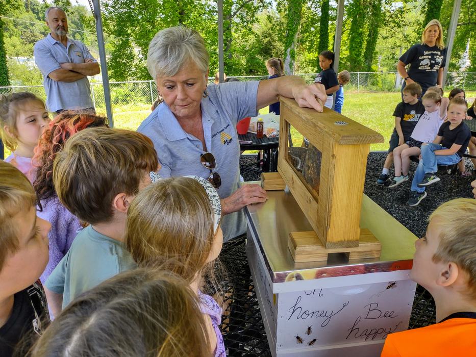A woman shows children a frame of bees encased in glass.