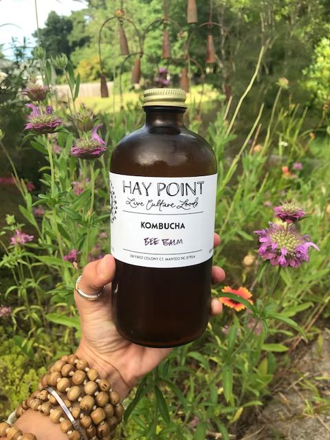 A hand holds a bottle of Hay Point Kombucha in front of flowering plants.