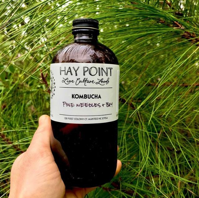 Hay Point Kombucha in front of pine needles.
