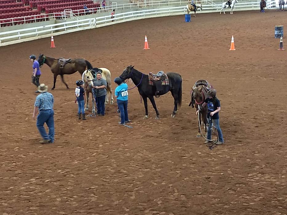 People walk horses around an arena with orange traffic cones."People walk horses around an arena with orange traffic cones." width="1024" height="768"