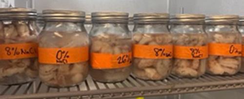 Research on pickled shrimp.