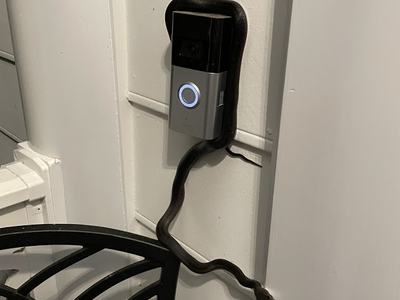 Snake climbing from doorbell camera mounted on exterior siding