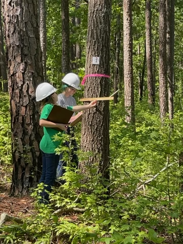 4-H youth using a Biltmore stick to measure a tree for the Spring 2022 4-H Forestry contest.