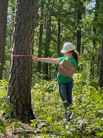 4-H youth using a Biltmore stick to measure a tree for the Spring 2022 4-H Forestry contest.