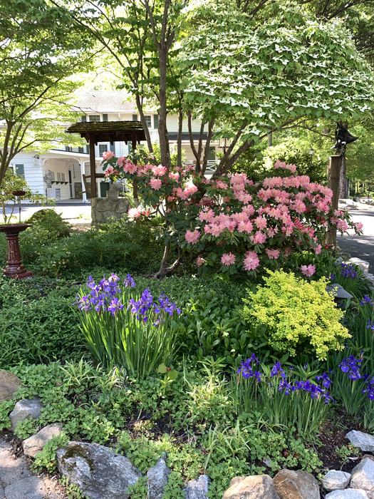Pink, Purple and yellow flowers bloom in a rock lined garden.