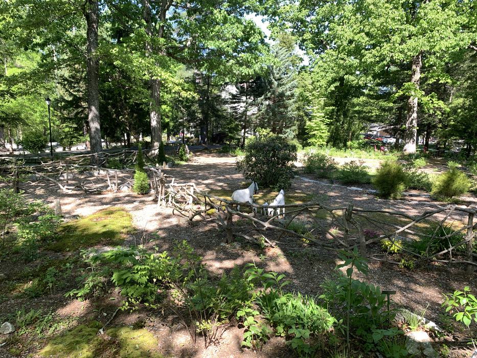 A green garden surrounded by trees. 